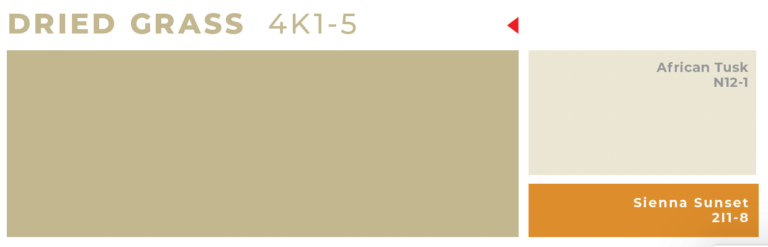 Screenshot-2025-01-13-at-11.22.59 AM-1-768x247.png
